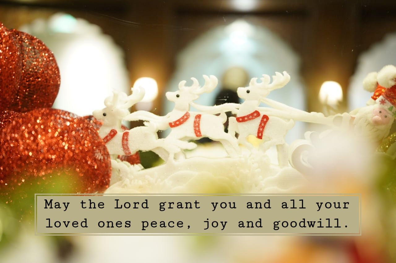 Coccole Sonore We Wish You A Merry Christmas